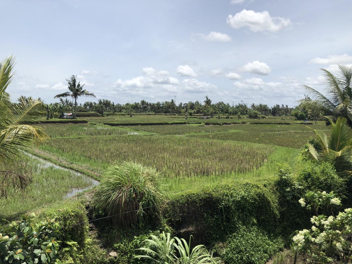Hacco Capsule Hotel Ubud Exterior foto